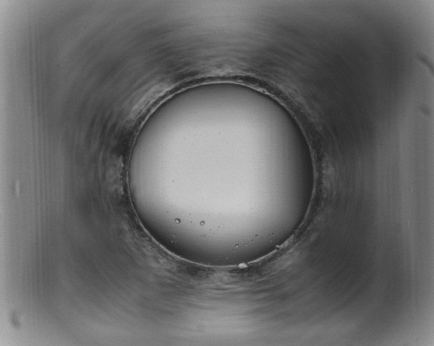 X0000099461265200805161038