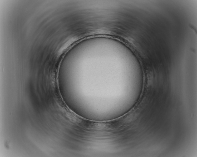 X0000099461266200805161038