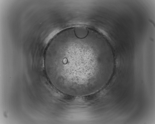 X0000099461267200805161038