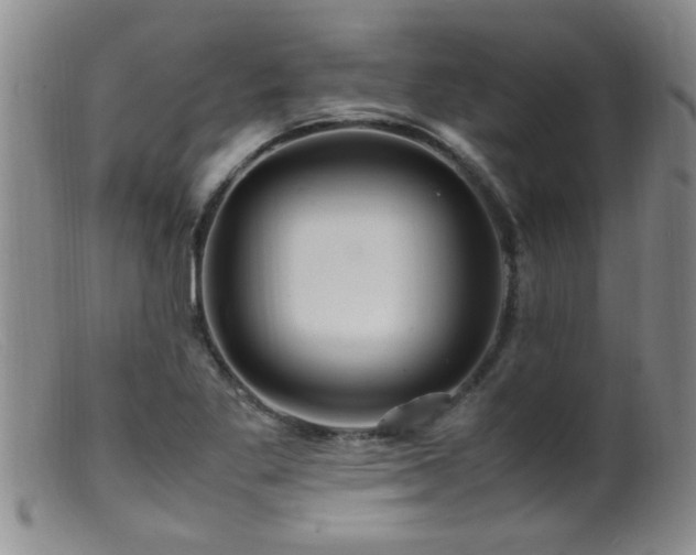 X0000099461269200805161038