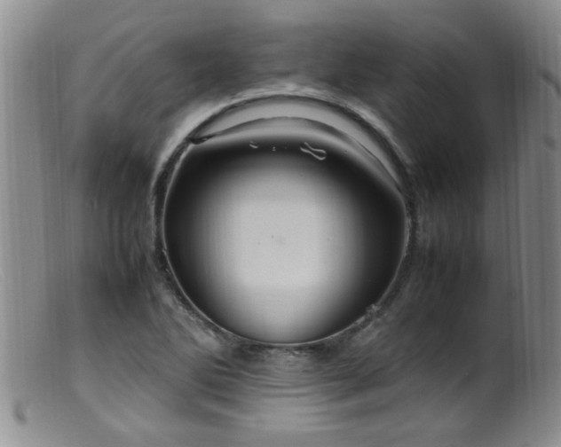 X0000099461270200805161038