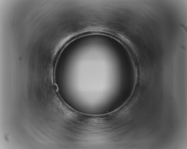 X0000099461272200805161038