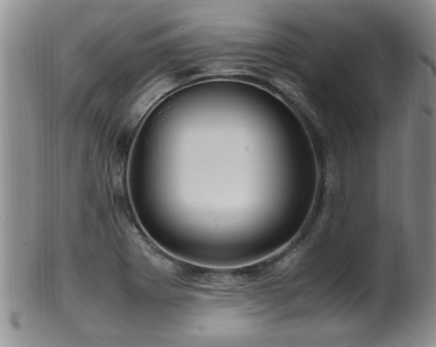 X0000099461273200805161038