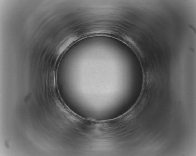 X0000099461274200805161038