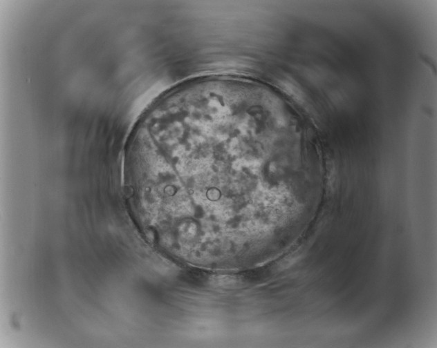 X0000099461275200805161038