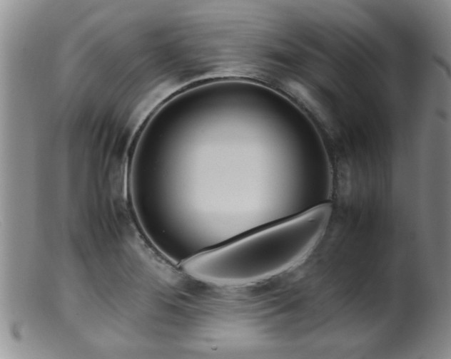 X0000099461276200805161038