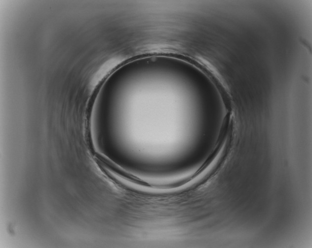 X0000099461277200805161038