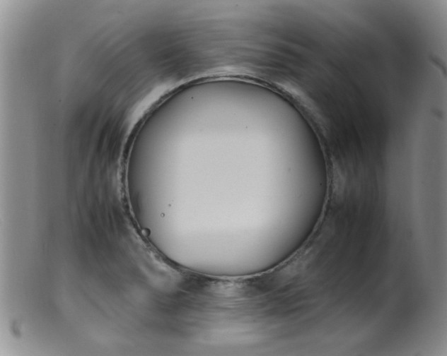 X0000099461278200805161038