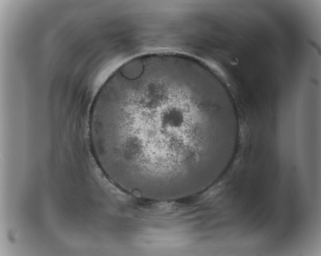 X0000099461279200805161038