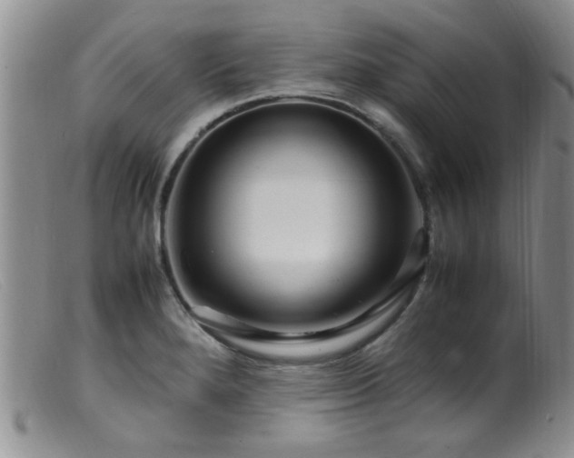 X0000099461280200805161038