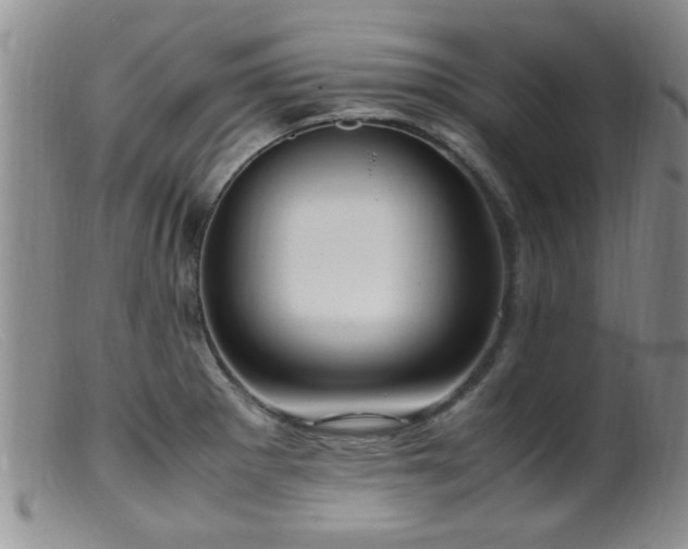 X0000099461281200805161038