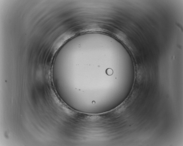 X0000099461282200805161038