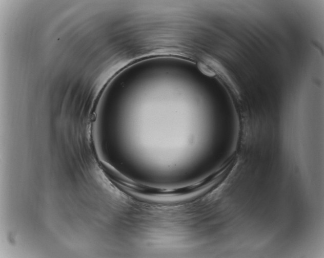 X0000099461284200805161038