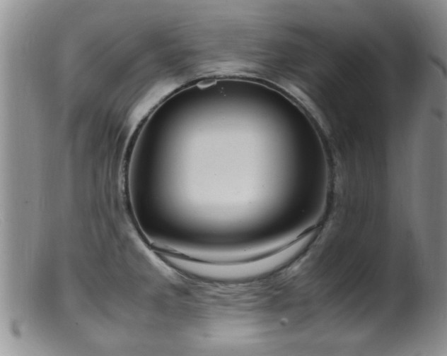 X0000099461285200805161038