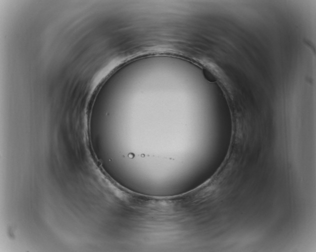 X0000099461286200805161038