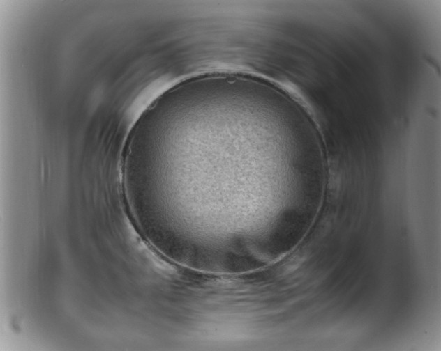 X0000099461287200805161038