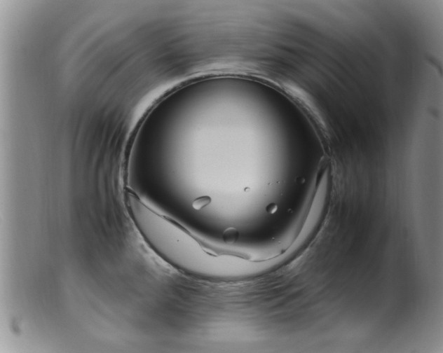 X0000099461288200805161038