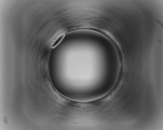 X0000099461289200805161038