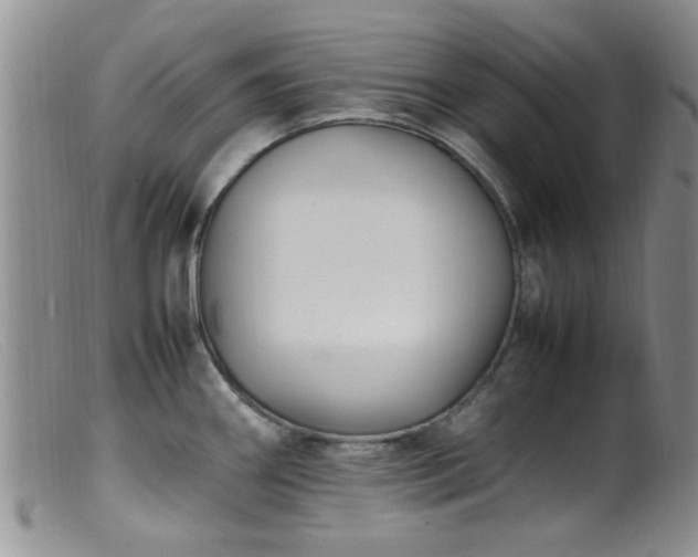 X0000099461290200805161038