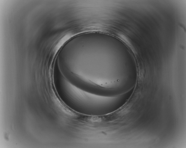 X0000099461291200805161038