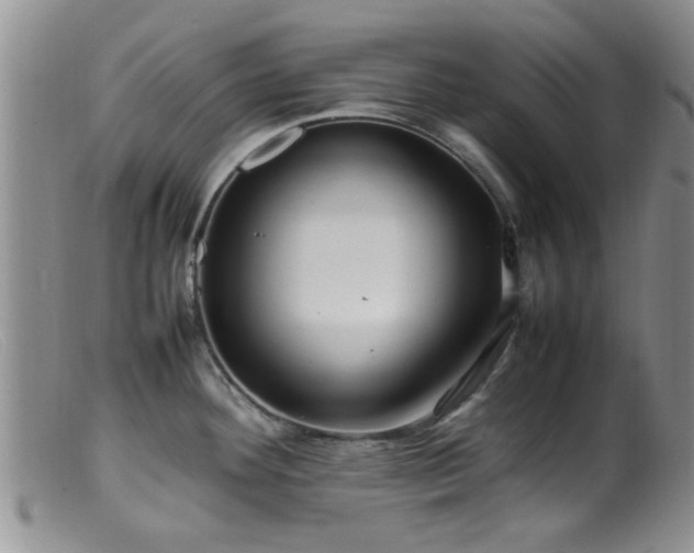 X0000099461292200805161038