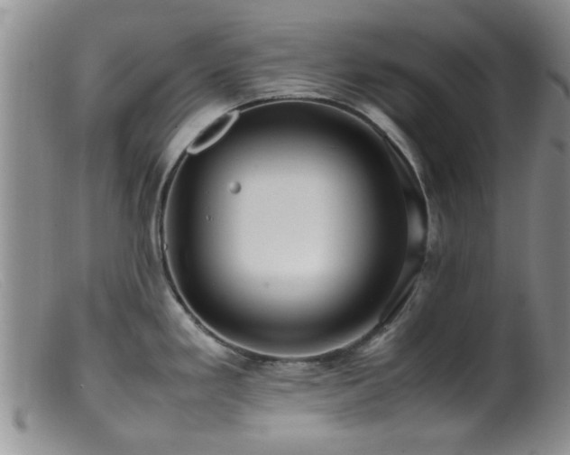 X0000099461293200805161038