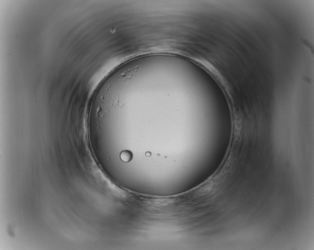 X0000099461294200805161038