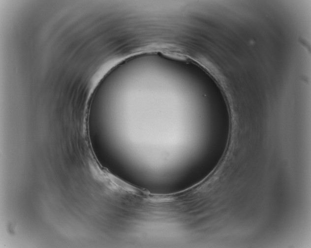 X0000099461296200805161038