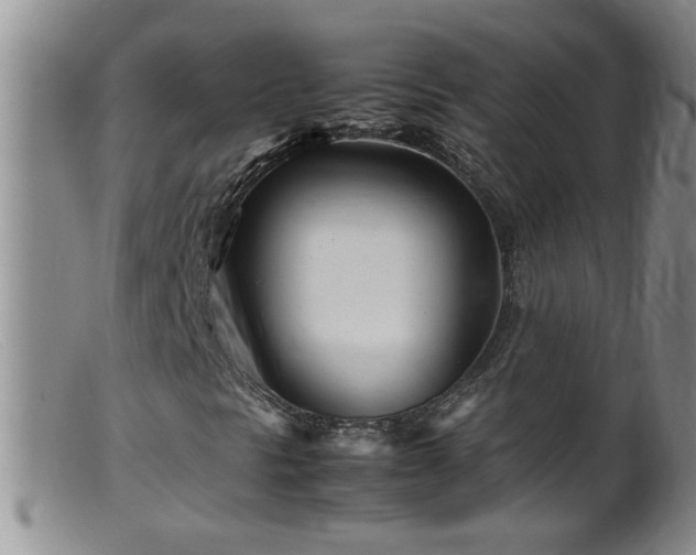 X0000099461297200805161037