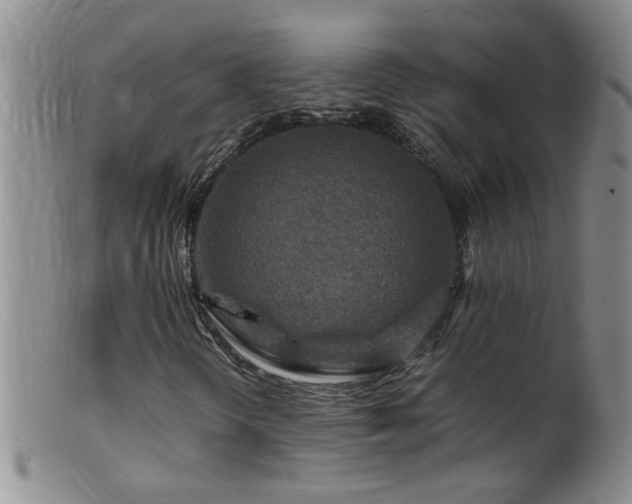 X0000099461298200805161037