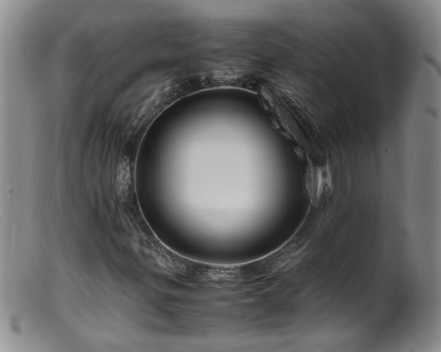 X0000099461299200805161037