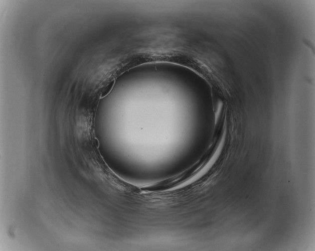 X0000099461300200805161037