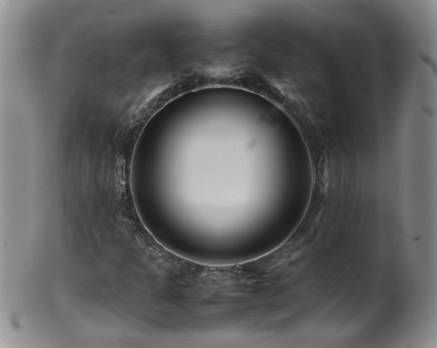 X0000099461301200805161037