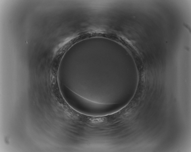 X0000099461303200805161037