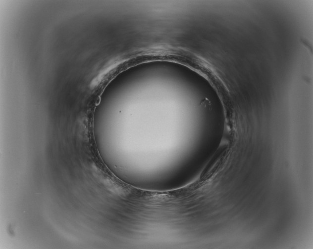 X0000099461304200805161037