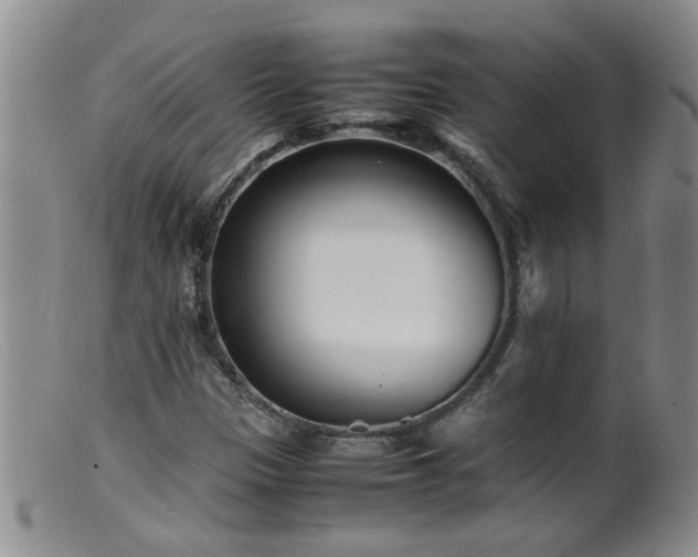 X0000099461305200805161037