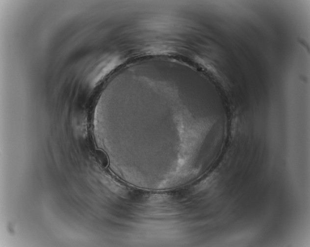 X0000099461306200805161037