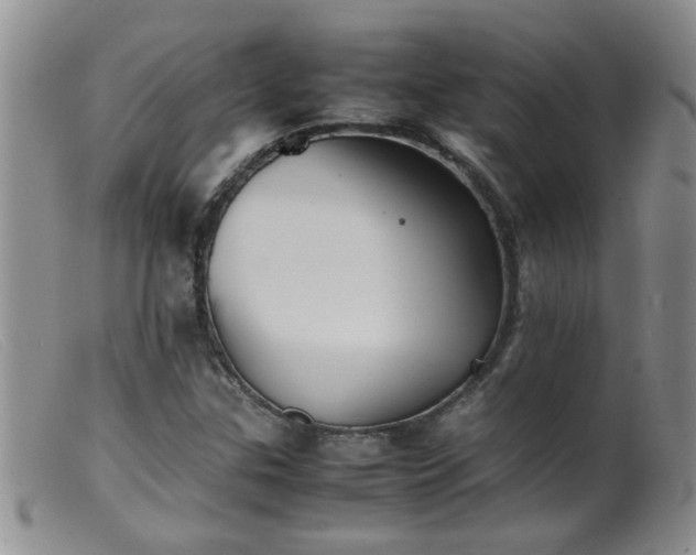 X0000099461307200805161037