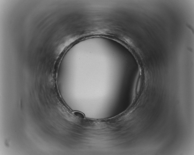 X0000099461308200805161037