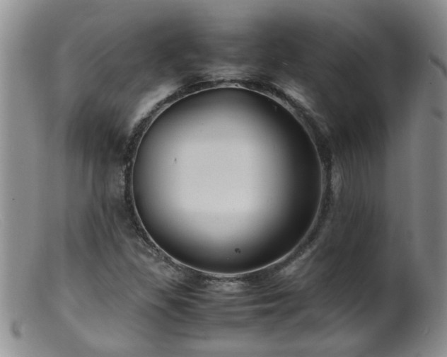 X0000099461309200805161037