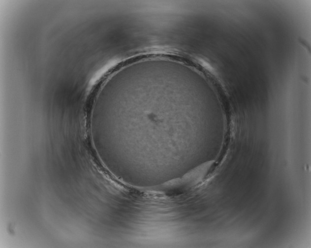 X0000099461310200805161037