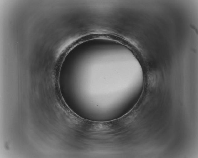 X0000099461311200805161037