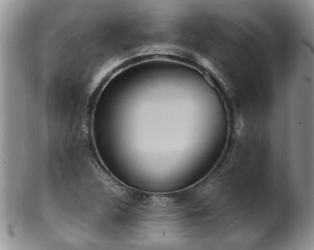 X0000099461312200805161037