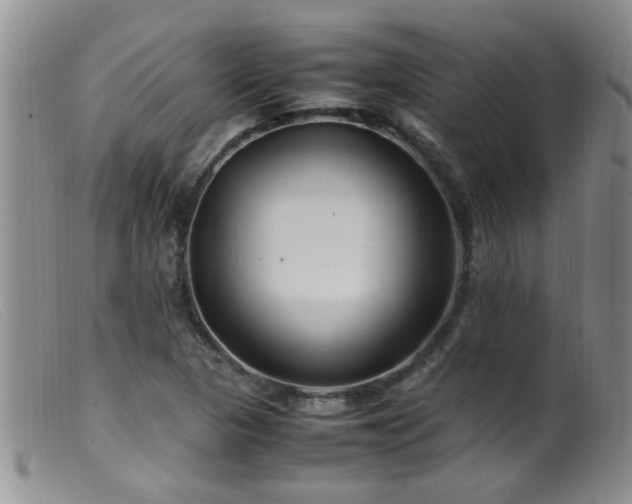 X0000099461313200805161037