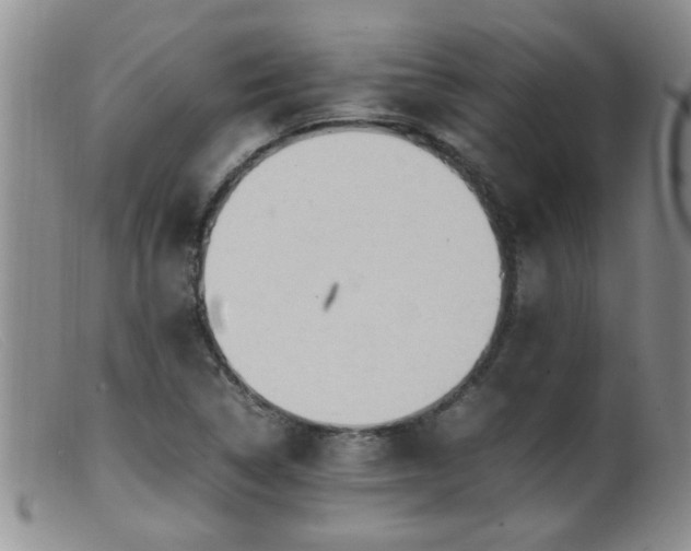 X0000099461314200805161037