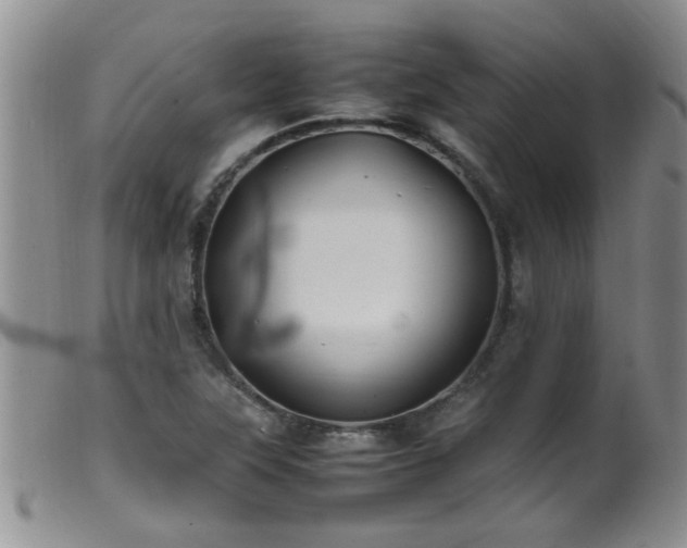 X0000099461315200805161037