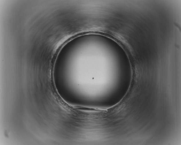 X0000099461316200805161037