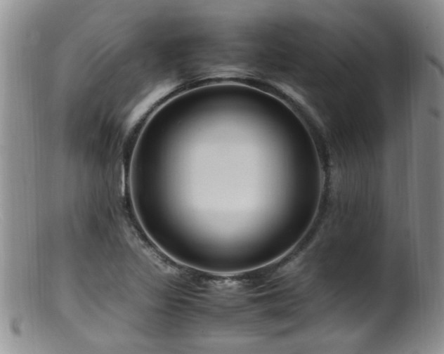 X0000099461317200805161037