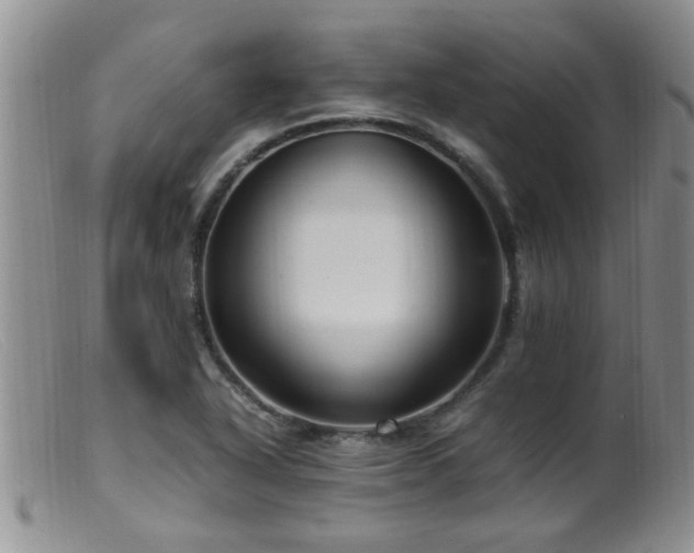 X0000099461318200805161037