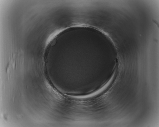 X0000099461319200805161037